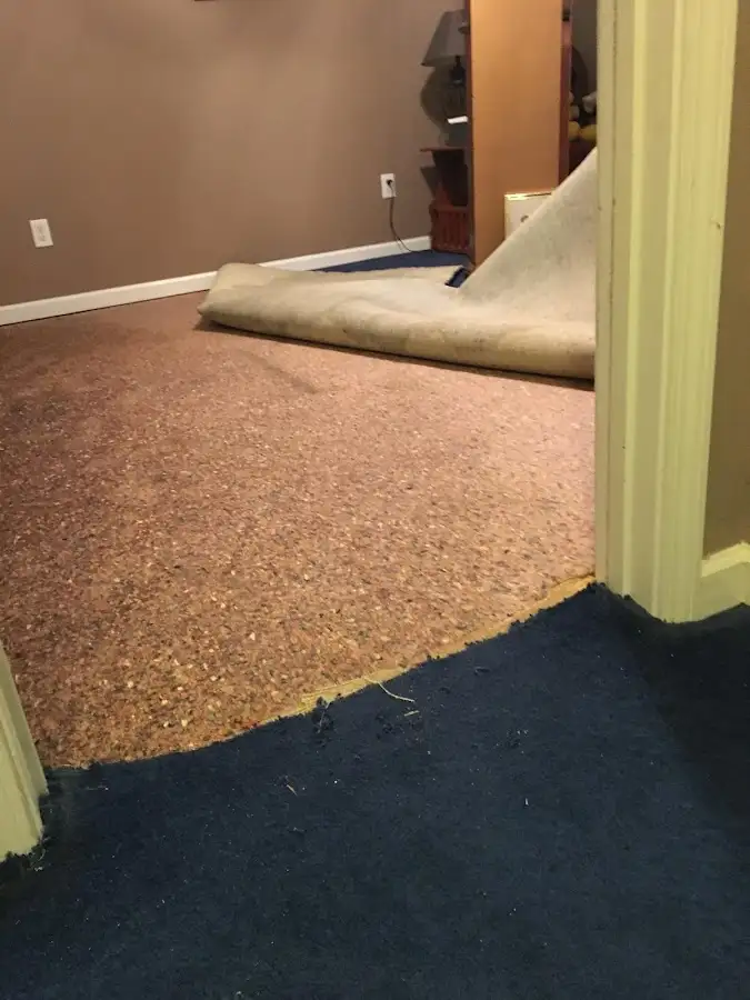 Carpet pad removal revealing water damage during Water Mitigation Services in Suffern